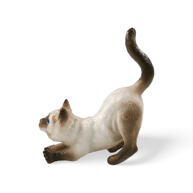 Miniature Siamese cat side view isolated on white