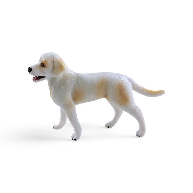 Miniature white dog side view isolated on white