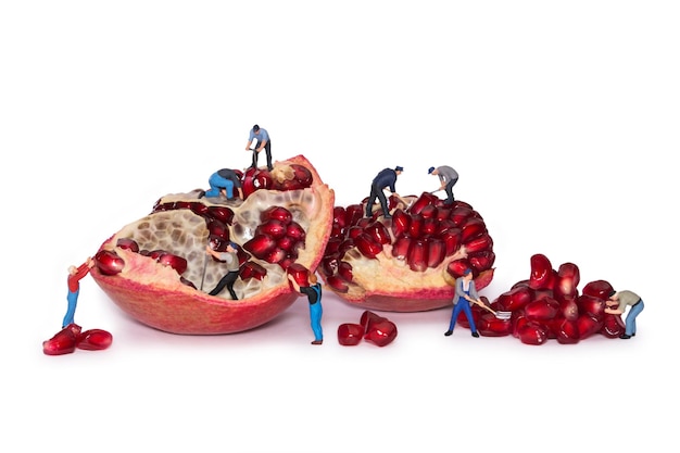 Miniature workers take out the seeds of the pomegranate Break pomegranates