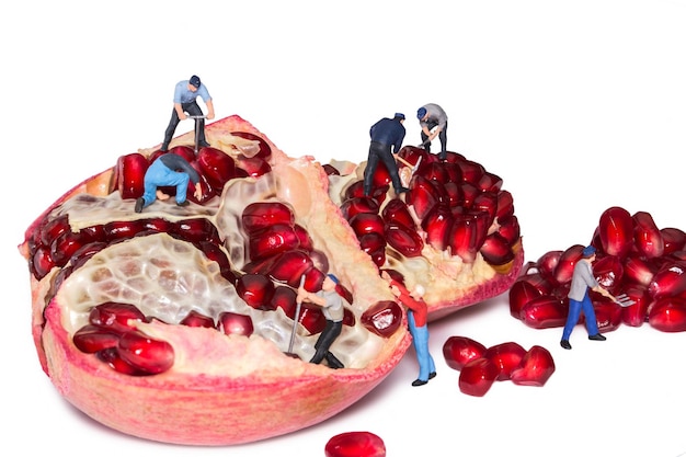 Miniature workers take out the seeds of the pomegranate