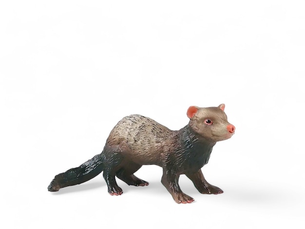 Miniatuur Ferret geïsoleerd op wit