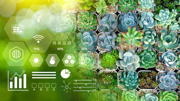 Miniatuur succulente cactus met infografieën Slimme landbouw en precisielandbouw met visueel icoon digitale technologie landbouw en slim landbouwconcept