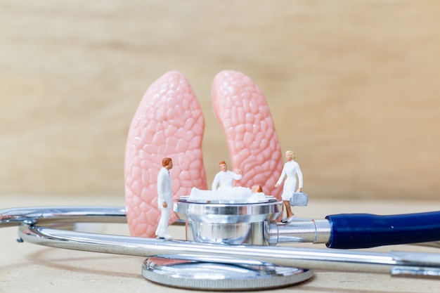Miniatuurarts en verpleegster die over menselijke longen waarnemen en bespreken