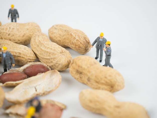 Foto miniatuuringenieur werkt aan noten