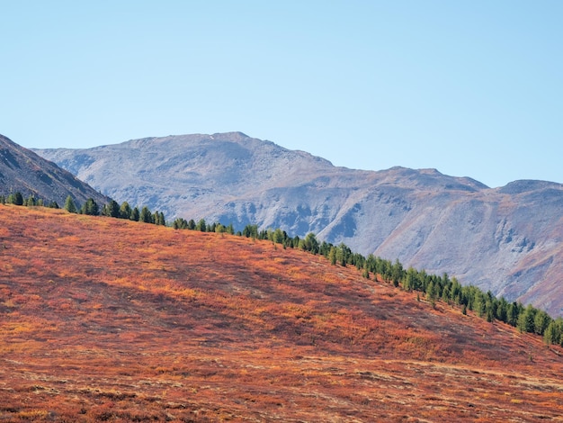 Minimaal berglandschap met helling van heuvel in gouden zonlicht in de herfst in pasteltinten diagonaal van zonovergoten oranje berghelling