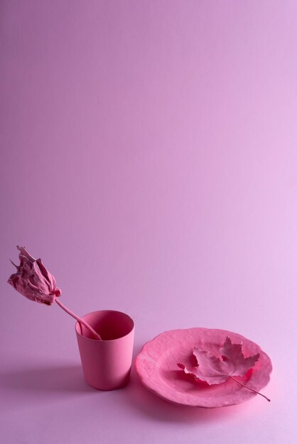 Minimal composition pink still life autumn minimalism