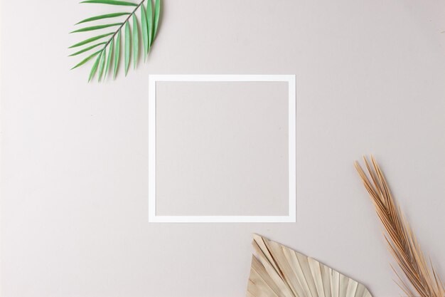 Minimal composition with white frame and palm leaf on grey background Flat lay copy space
