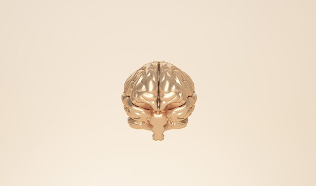 Minimal golden brain in front view on pastel background Human brain Anatomical Model 3d render