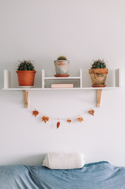 Minimal modern interior design Cactus in flowerpot and autumn leave