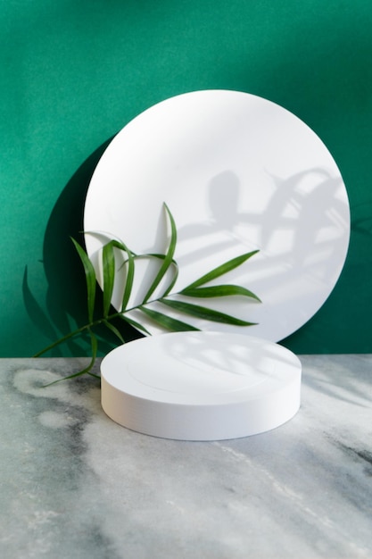 Minimal modern product display on deep green background with palm leaves and shadow overlay