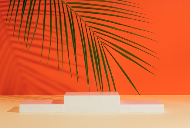 Minimal modern product display on orange background with product podium and tropical palm leaf