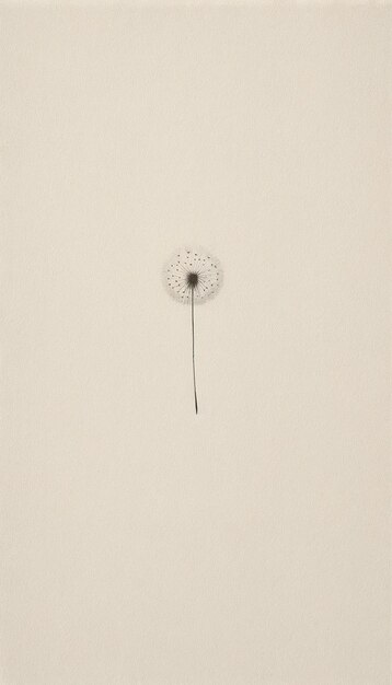 Minimal Nature Posters Elegant Botanical Wall Art