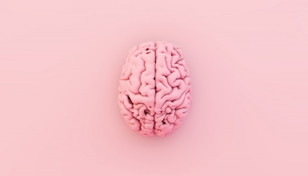 Minimal pink brain