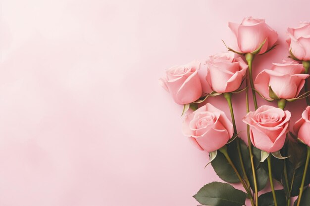 Minimal pink roses and pink background copy space concept