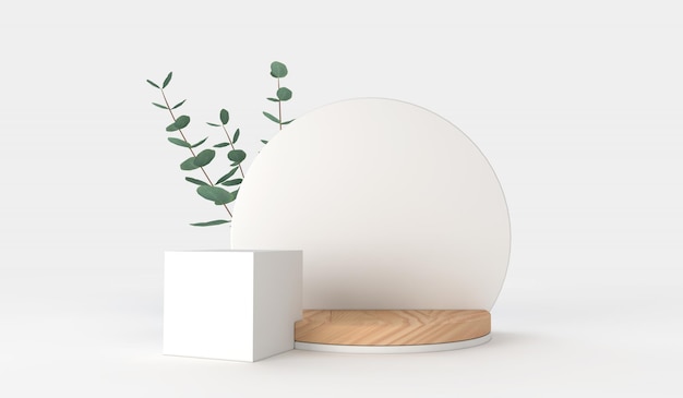 Minimal product display design podium with green eucalyptus leaves d render