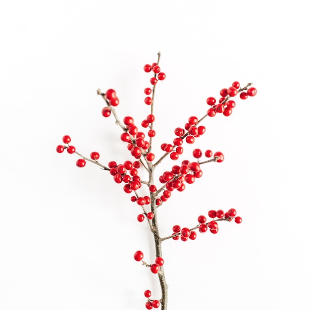 Minimal seasonal composition. Pattern of branch with red berries on isolated white