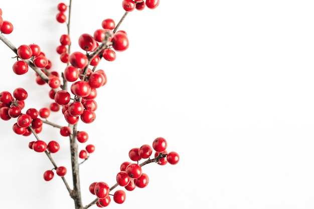 Minimal seasonal composition. Pattern of branch with red berries on isolated white