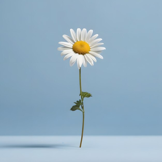 Minimal sunflower on a yellow background