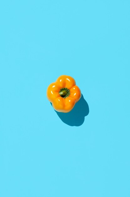 Minimal top view of single fresh yellow pepper on vibrant blue background copy space