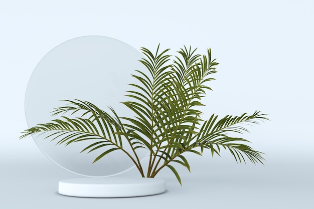Minimale geometrische scène met rond podium en groene tropische palmboom geïsoleerd op een witte achtergrond