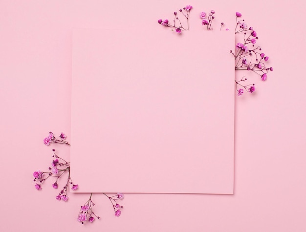 Minimale mock-up Roze papier met kopieerruimte over roze gipskruidbloemen