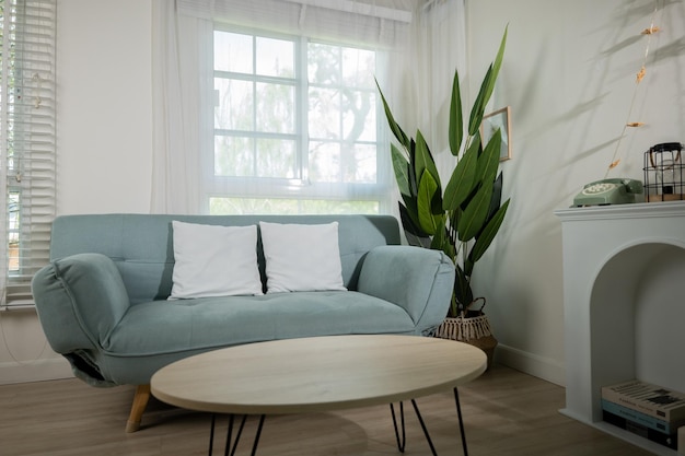 Minimale woonkamer interieur met comfortabele moderne groene sofa in de buurt van venster thuis zonnige dag, appartement ingerichte lege witte muur