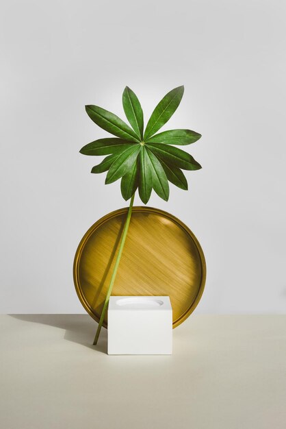 Minimalism composition of empty pedestal and tropical plant