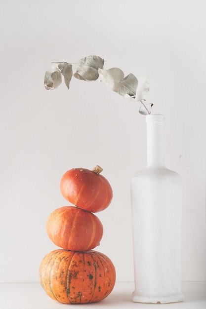 Photo minimalism. orange pumpkins on white