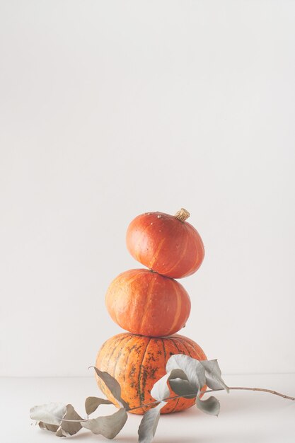 Minimalism. Orange pumpkins on white