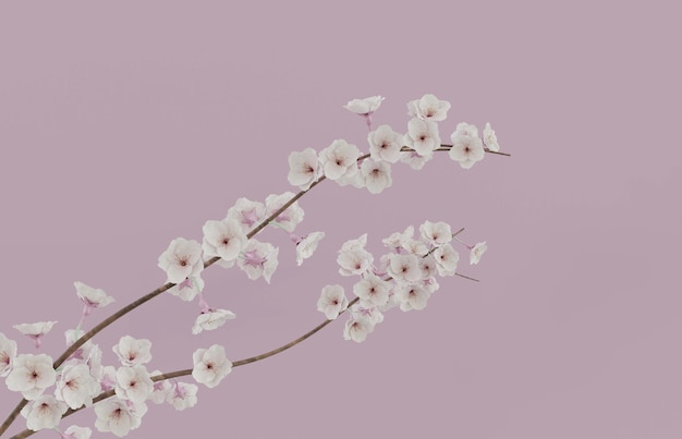 Minimalisme Japanse kersenbloesem tak mooie natuurlijke boom met roze achtergrond 3D-rendering illustratie