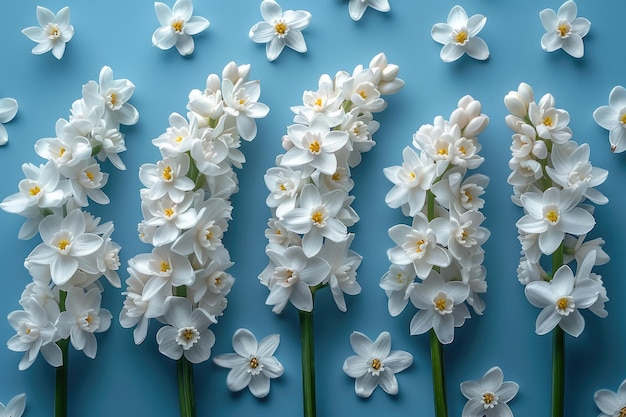 minimalist background with spring motiv professional photography