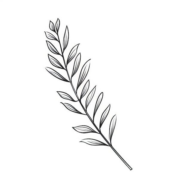 Photo minimalist black and white vector drawing of lavender leaf