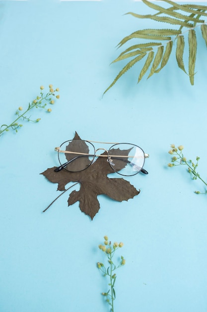 Minimalist concept. round aviator glasses, green leaves, pine flowers on blue pastel color background. top view flat lay.