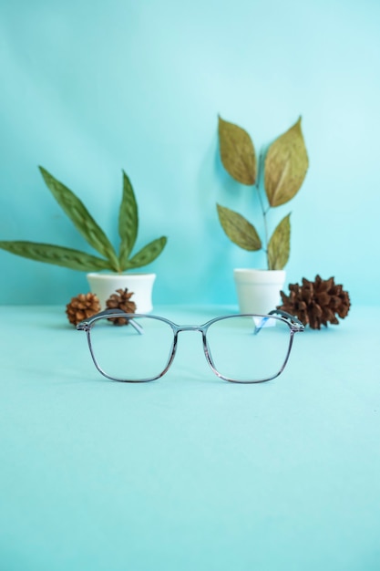 Minimalist Concept. Square Glasses, Dried Leaves, Pine Flowers on a pastel light blue background.