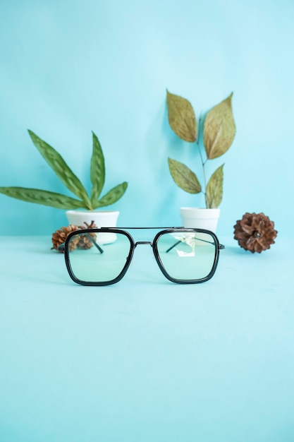 Minimalist Concept. Square Glasses, Dried Leaves, Pine Flowers on a pastel light blue background.