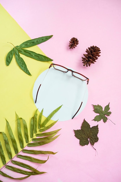 Minimalist concept. square glasses, green leaves, pine flowers on yellow and pink pastel color background. top view flat lay.