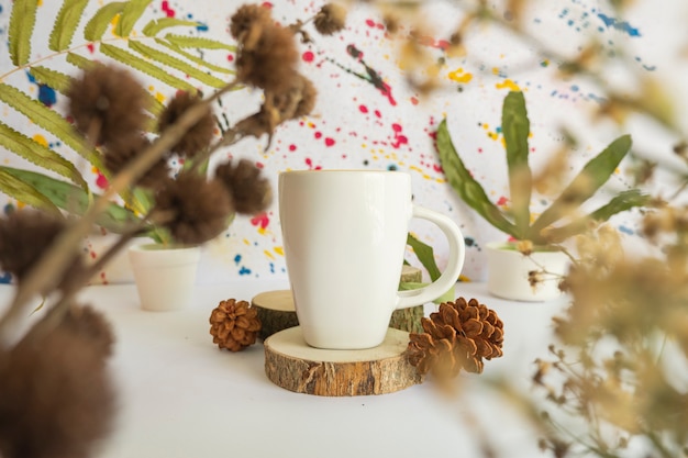 Minimalist concept. white mug on abstract background with dried flowers and leaves decoration