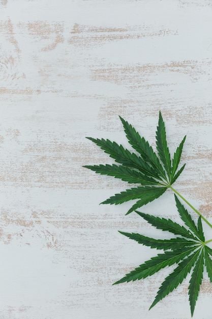 大麻の葉のミニマリストフレーム。コピースペースと白い木製の背景にマリファナと背景