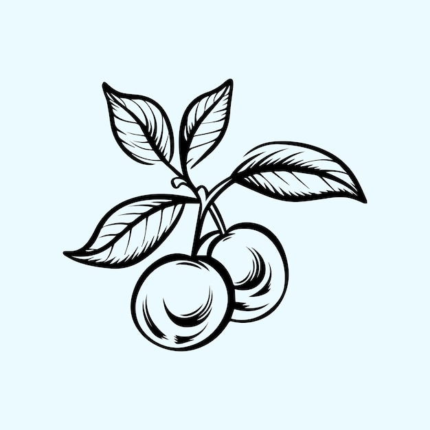 크랜베리 와 잎 의 미니멀 리스트 라인 드로잉