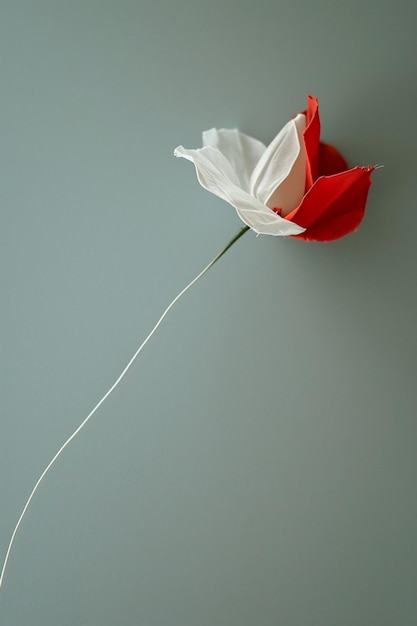 a minimalist Martisor with a delicate red petal attached to a thin white string