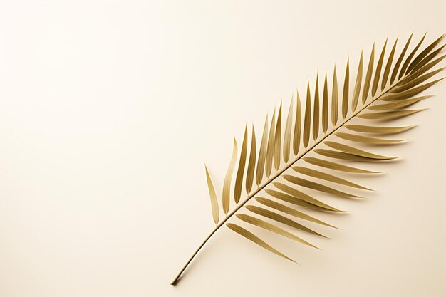 Photo minimalist palm leaf on white