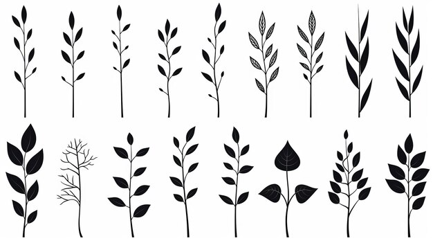 Photo minimalist plant silhouettes hand drawn leaves in whimsical vector art