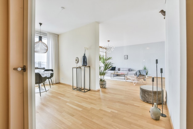 Minimalist style interior of spacious contemporary apartment with dining and lounge areas behind doorway