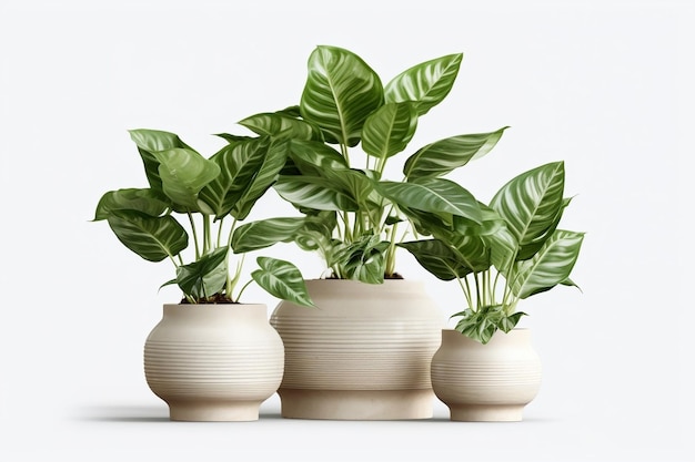 Minimalist vases with green plants Generative AI