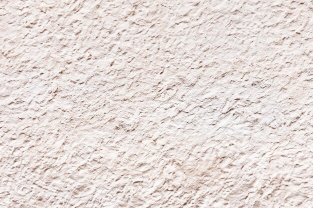 Minimalist White Textured Wall Ideal Background for Creative Projects