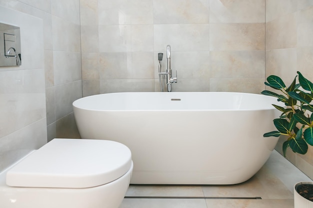 A minimalistic bathroom with a toilet standalone bathtub and shower