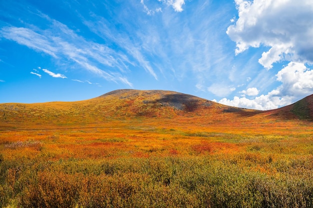 Bellissimo paesaggio montano minimalista con luce dorata sui pendii delle montagne paesaggio montano panoramico con colori illuminanti nel cielo blu