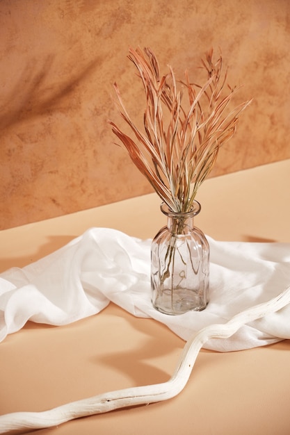 Minimalistic composition of dried grass in glass vase as home decoration fabric and a white tree