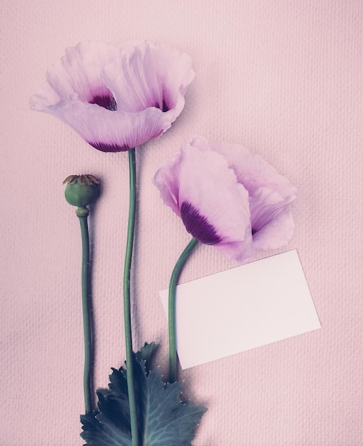 Minimalistic cute postcard with a bouquet of summer poppies