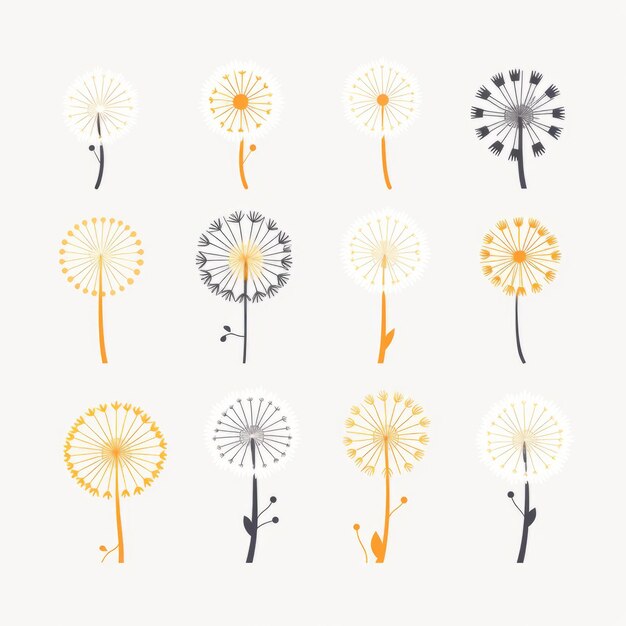 Photo minimalistic dandelion set vector svg animation asset